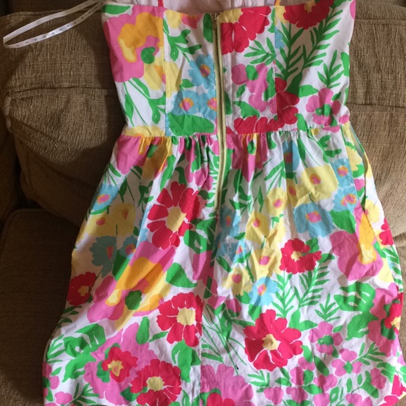 Lilly Pulitzer Ants on Parade Corset Dress - Picture 4 of 5